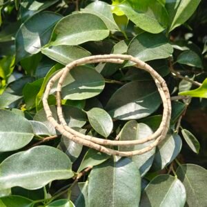 Tulsi Kanthi Mala (Patli)