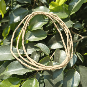 Tulsi Kanthi Mala 3 Round (Patli)