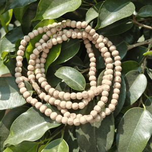 Tulsi Kanthi Mala Gol Dana